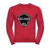 Set-in-sleeve sweatshirt Thumbnail